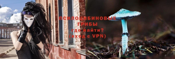 прущие грибы Лагань