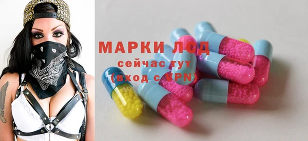 прущие грибы Лагань
