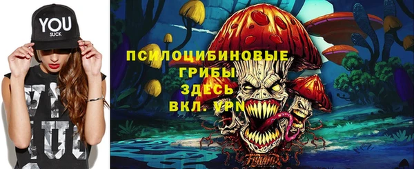 прущие грибы Лагань