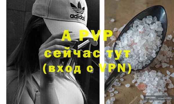 прущие грибы Лагань
