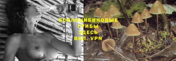 прущие грибы Лагань
